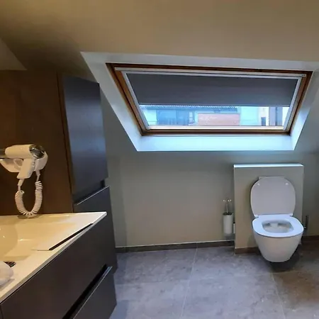 Splendid In With Terrace Daire